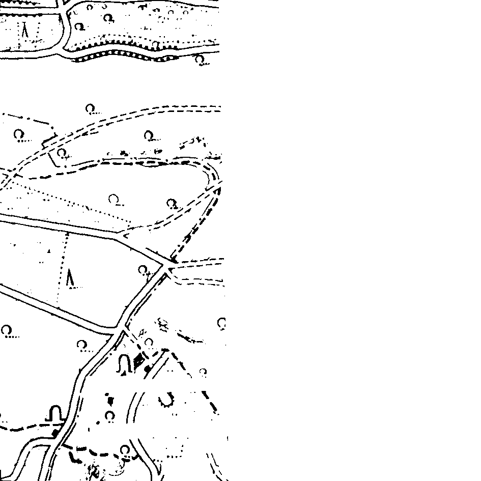 d11